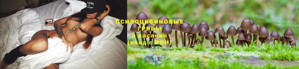 эйфоретик Балахна