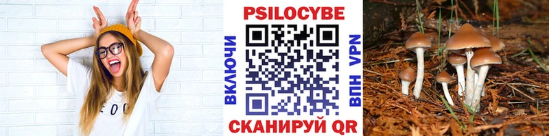 магазин продажи наркотиков  Коломна  Галлюциногенные грибы MAGIC MUSHROOMS 